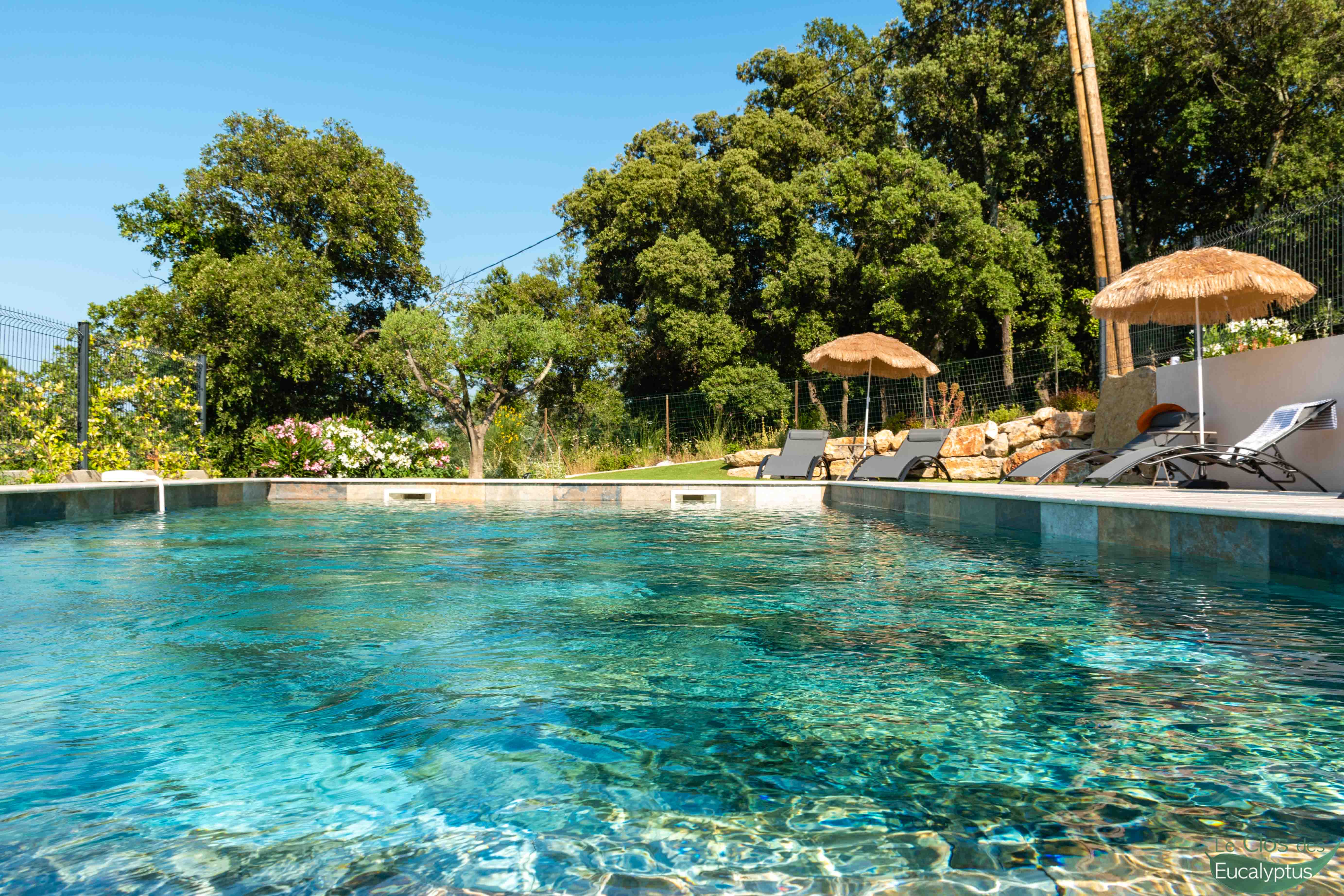 https://espace-ptl.ancv.com/appli/butterfly/data/medias_PA/PHOTOS/805806001001/805806001001R9RmntZuMh-Le Clos des Eucalyptus - Extèrieur - Piscine -0006.JPG